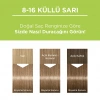 Palette Kalıcı Doğal Renkler Saç Boyası 8-16 Küllü Sarı