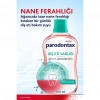 Parodontax Nane Ferahlığı Ağız Bakım Suyu 500 ml