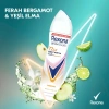 Rexona Kadın Sprey Deodorant Energise Bergamot & Yeşil Elma 150 ml