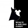Rexona Kadın Sprey Deodorant Invisible 72 Saat Kesintisiz Koruma 200 ml