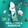 Rexona Thermocool Kadın Sprey Deodorant Eucalyptus & Magnolia 150 ml