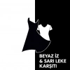 Rexona Üstün Koruma Kadın Roll On Deodorant Invisible 72 Saat Kesintisiz Koruma 50 ml