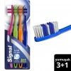 Signal Clean Action Diş Fırçası 3+1 (Yumuşak)
