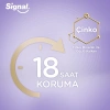 Signal Diş Macunu Komple Bakım 8 Etki Tam Koruma 75 ml