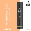 Taft Powerful Age Saç Spreyi 250 ml