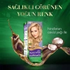 Wella Koleston Naturals Saç Boyası 8/1 Açık Küllü Kumral
