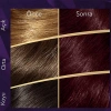 Wella Koleston Supreme Saç Boyası 3/66 Patlıcan Moru