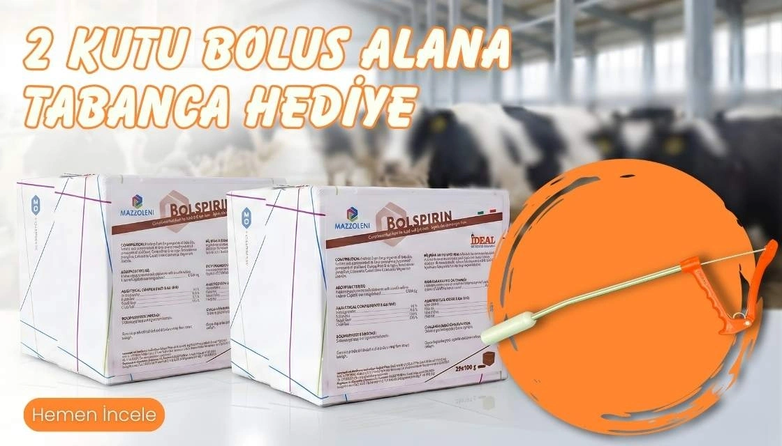 2 bolusa tabancahediye