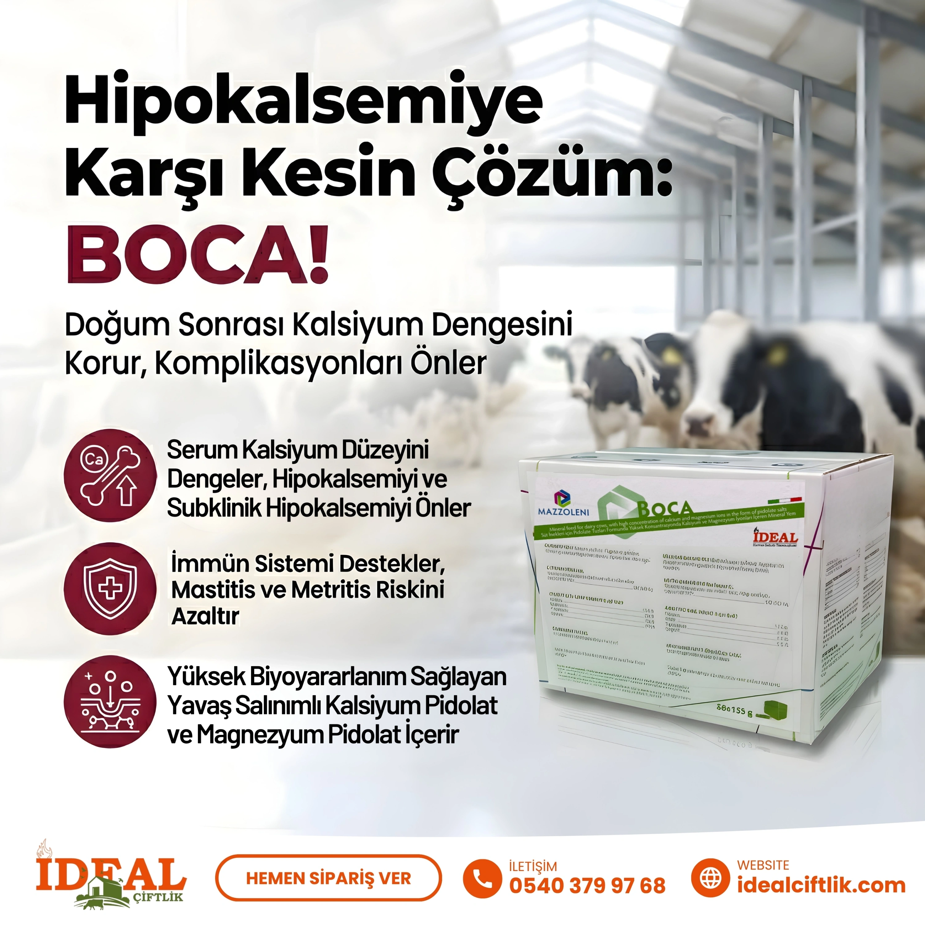 BoCa Hipokalsemi Riski için Bolus 20 Adet