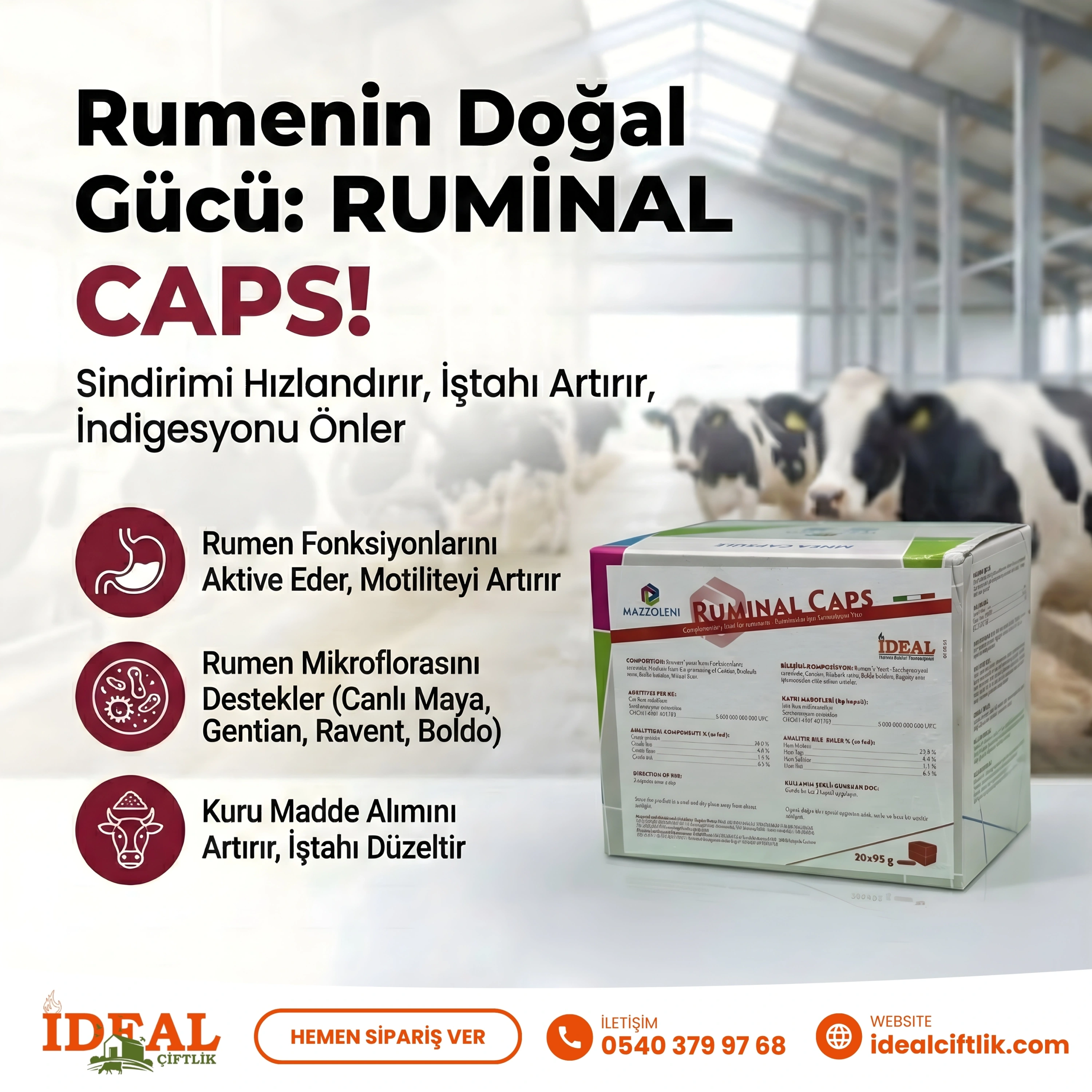 Ruminal Caps Bolus Rumen Sağlığı için 20 Adet