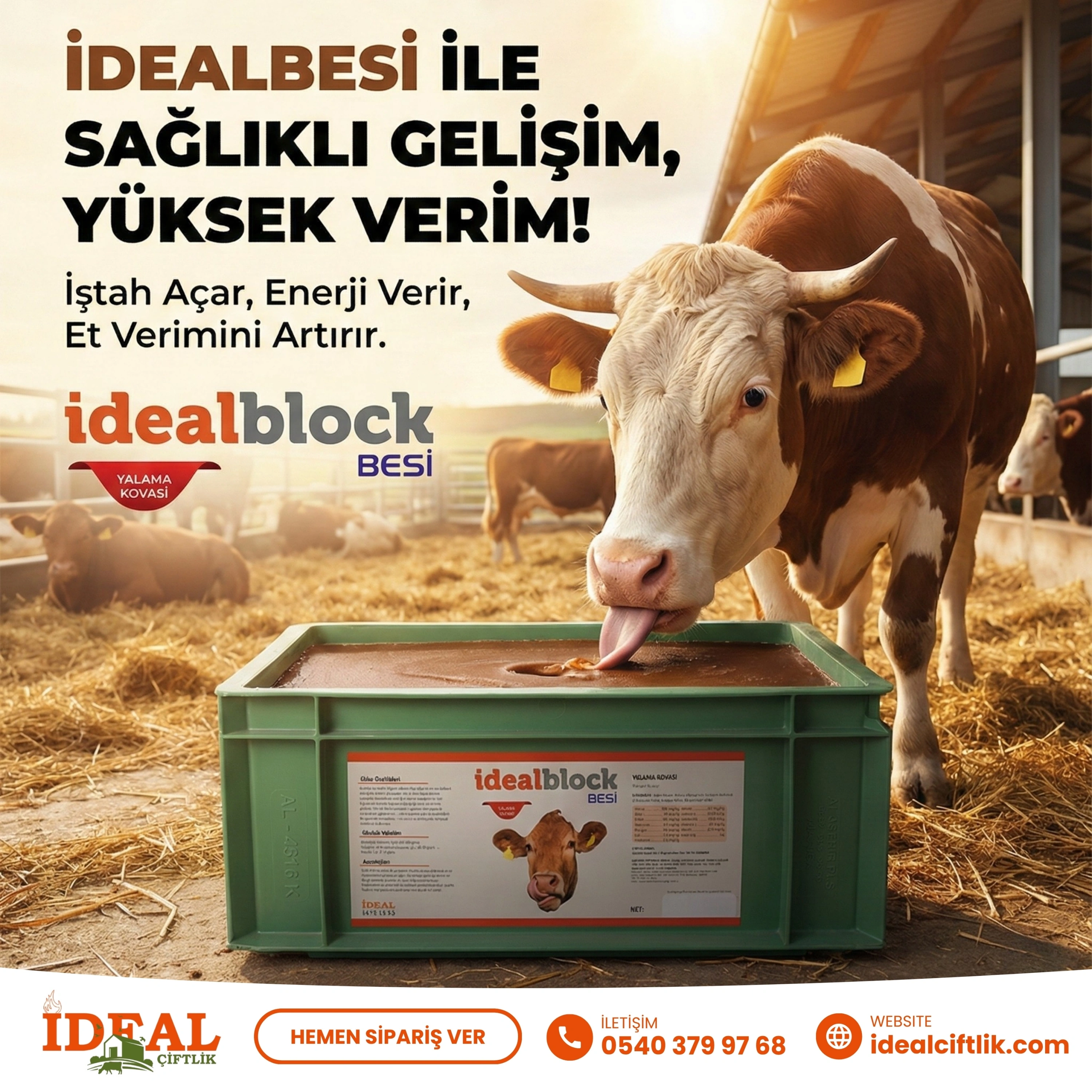 İdealBlock- Yalama Kovası