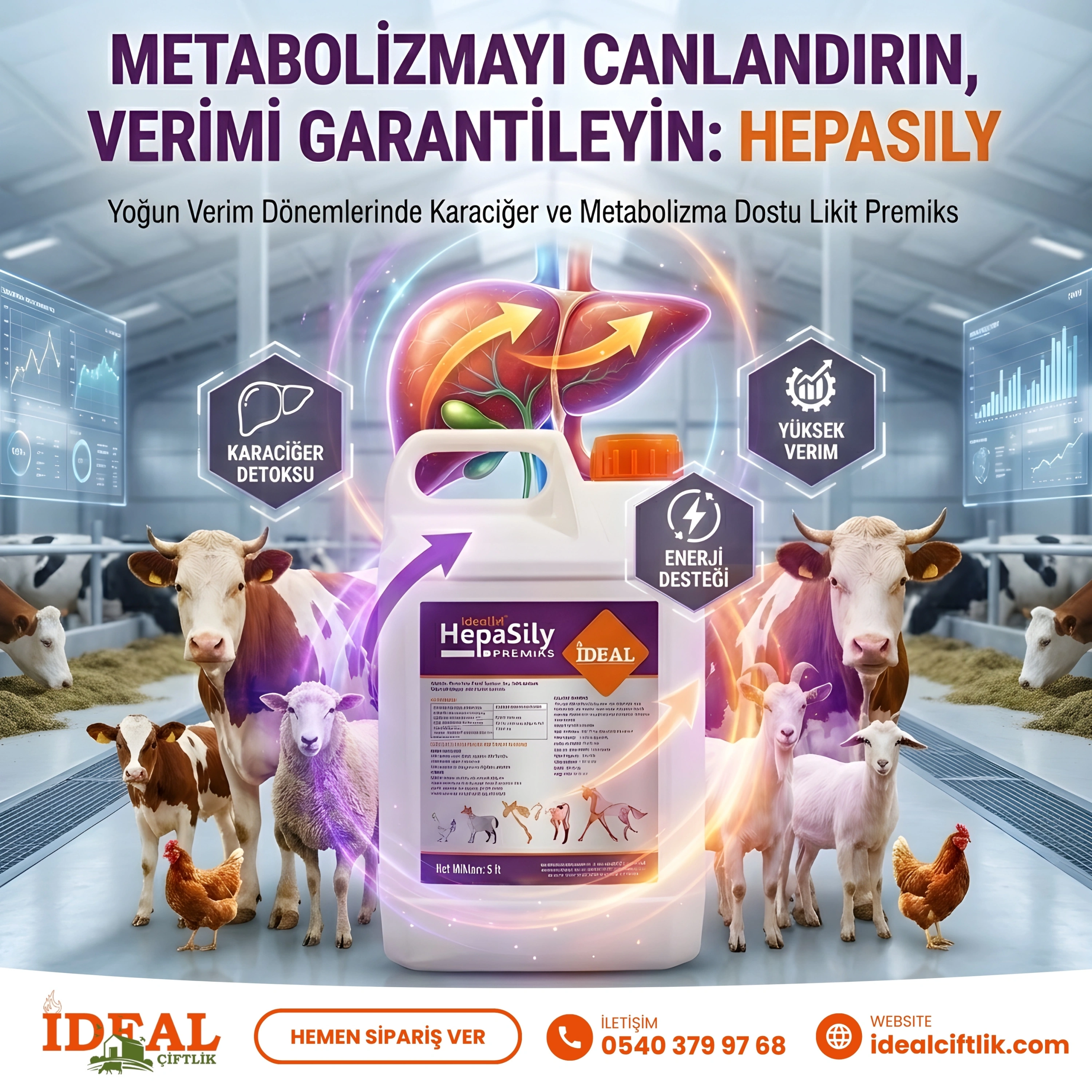 Hepasily 5 Litre Karaciğer Temizle, Toksinleri Sil