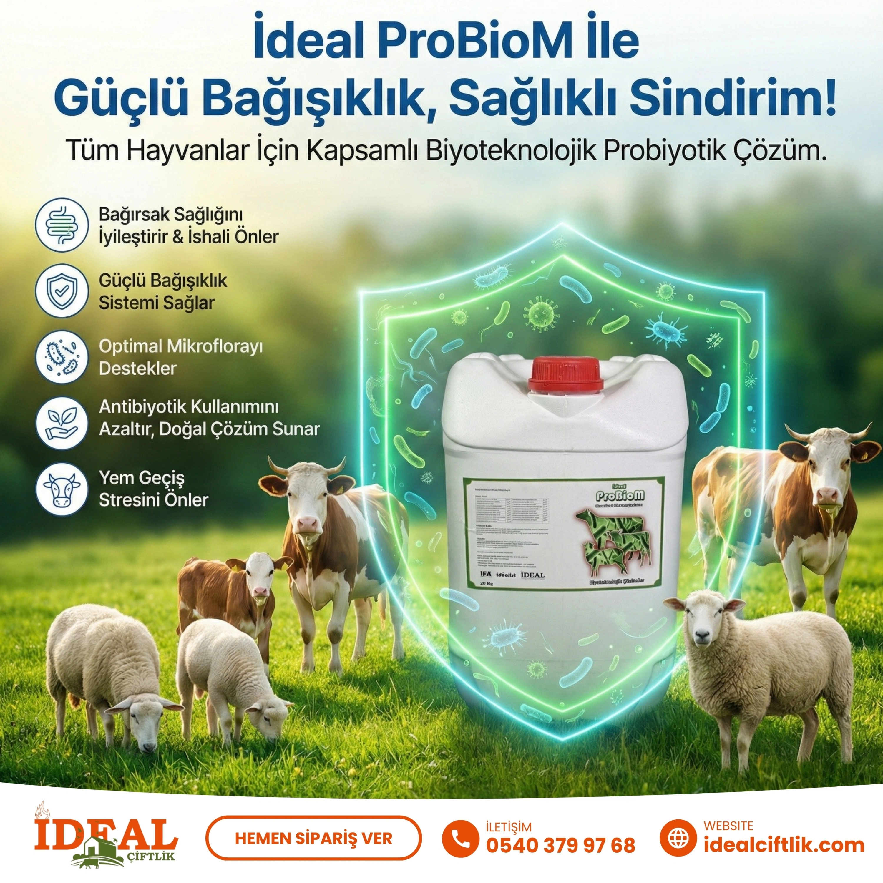 Probiom 20 Litre Güçlü Bağışıklık, İshalden Koru