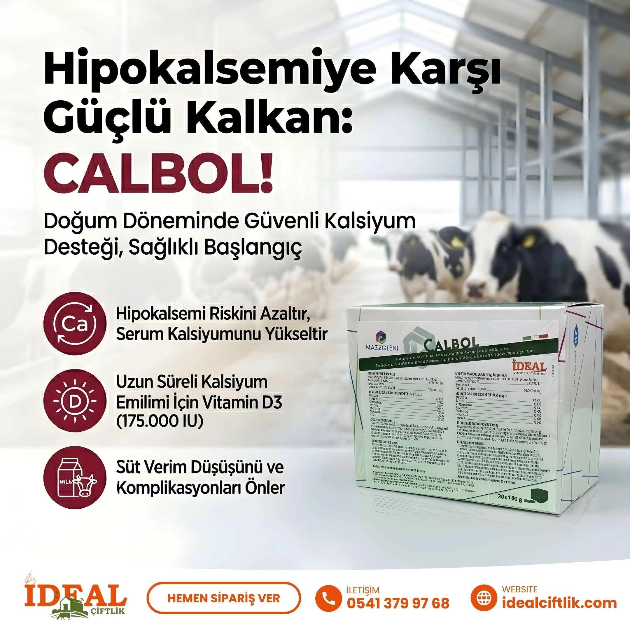 Calbol Bolus Hipokalsemi Sağıltımı 20 Adet