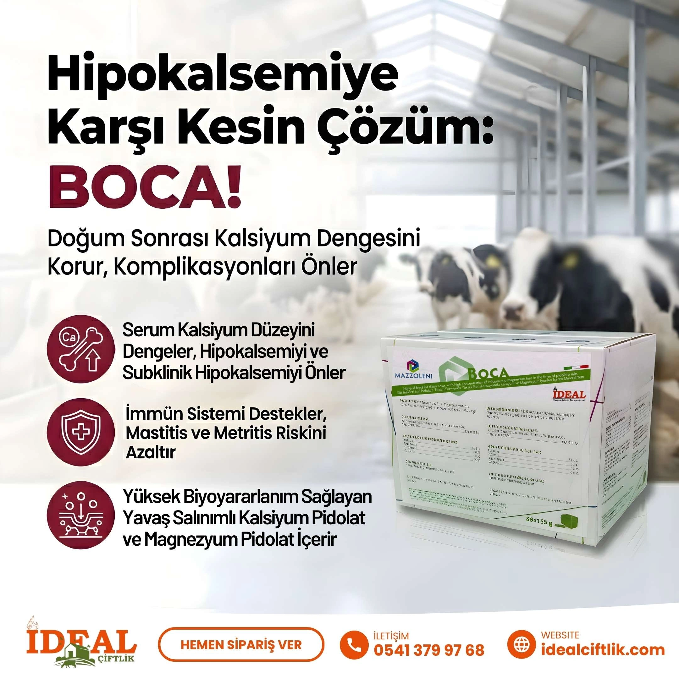 BoCa Hipokalsemi Riski için Bolus 20 Adet