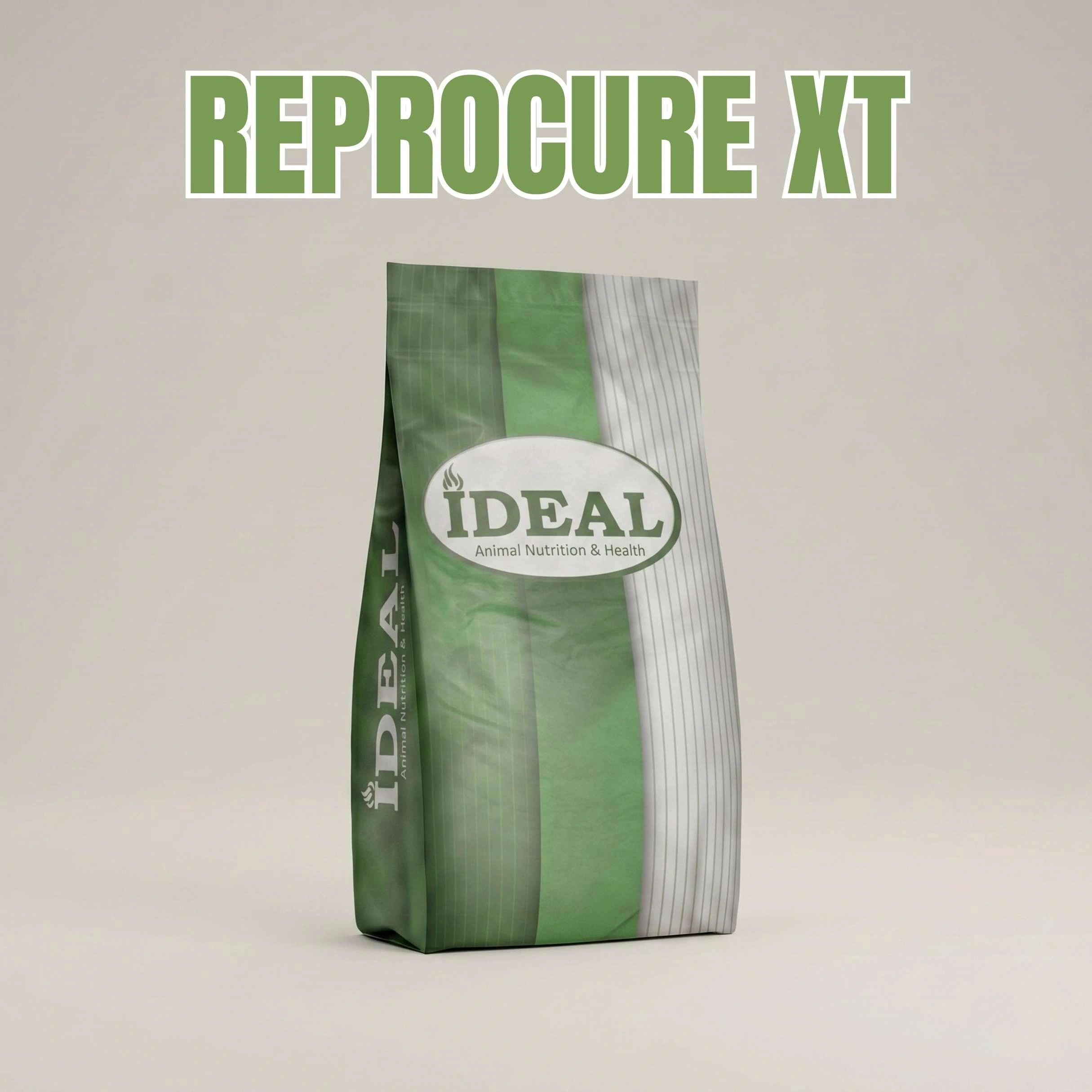 ReproCure XT-G 20 Kg Kızgınlık Sorunları için