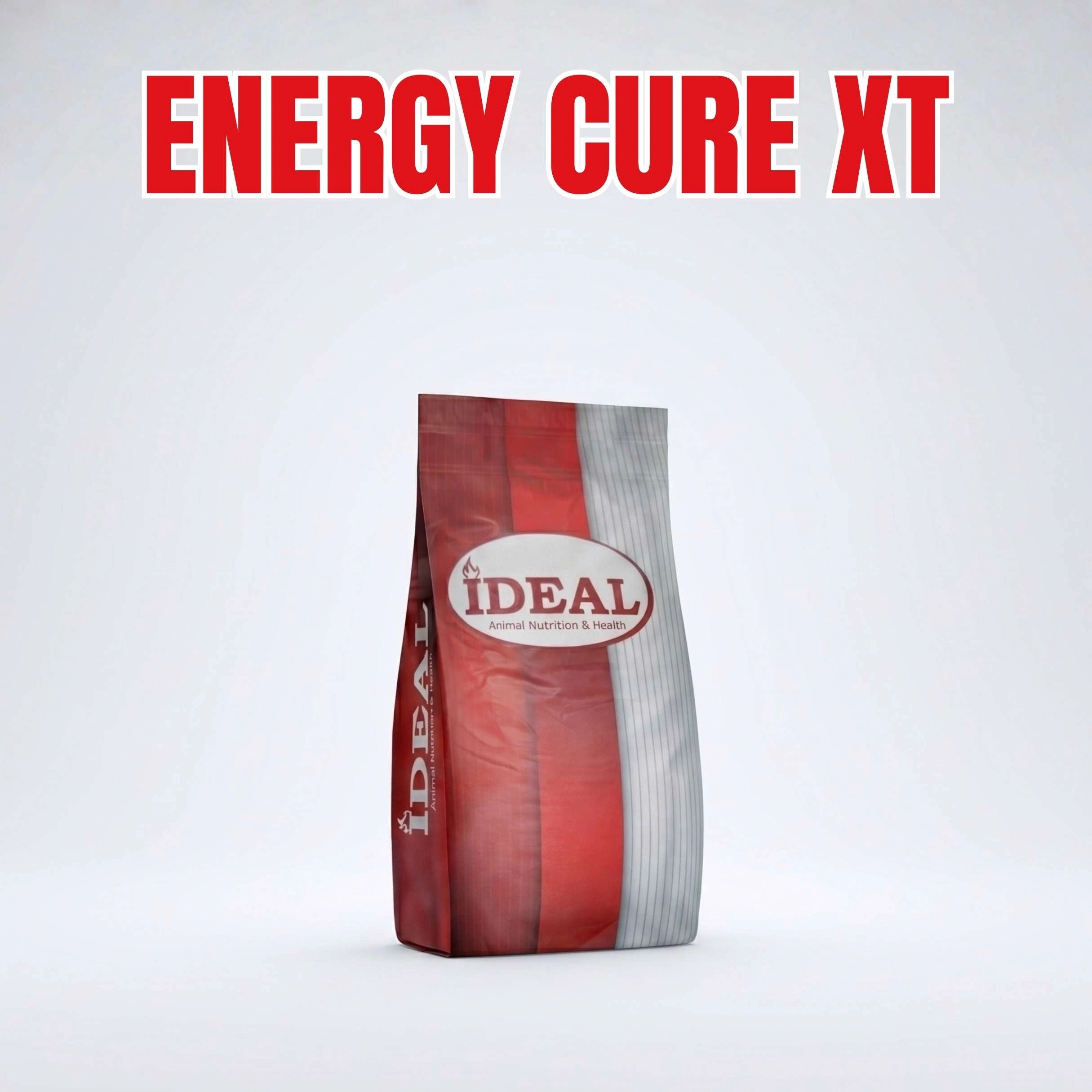 Energy Cure XT Geçiş Periyodunda Olmazsa Olmaz