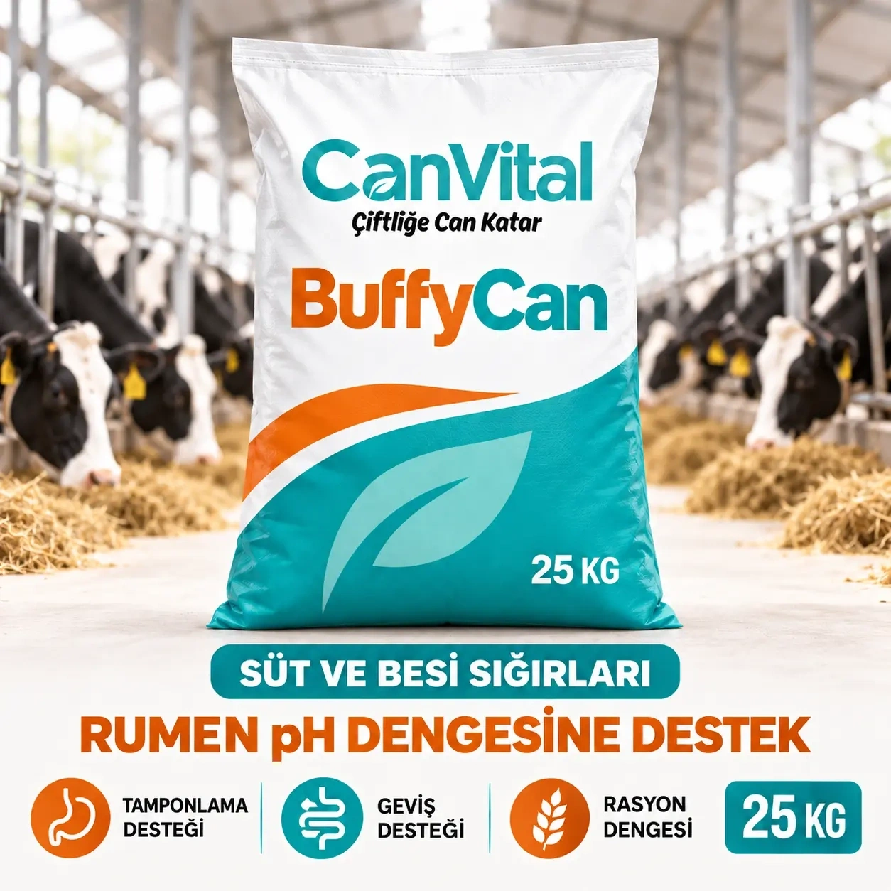 BuffyCan Büyükbaş Rumen Tamponlayıcı