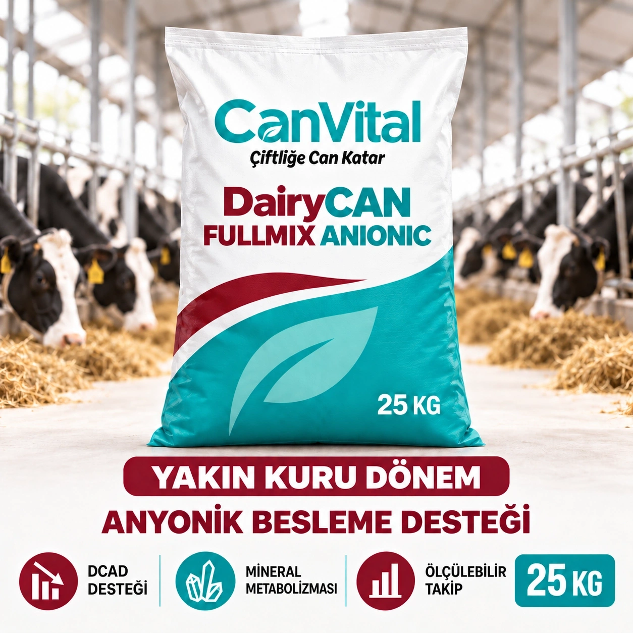 CanVital ANIONIC Yakın Kuru Dönem Anyonik