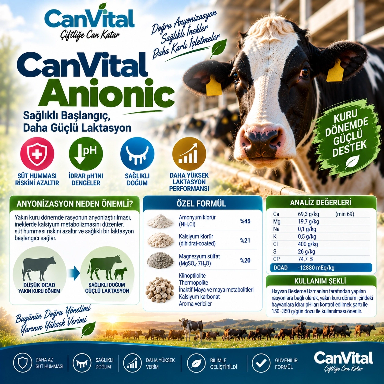 CanVital ANIONIC Yakın Kuru Dönem Anyonik