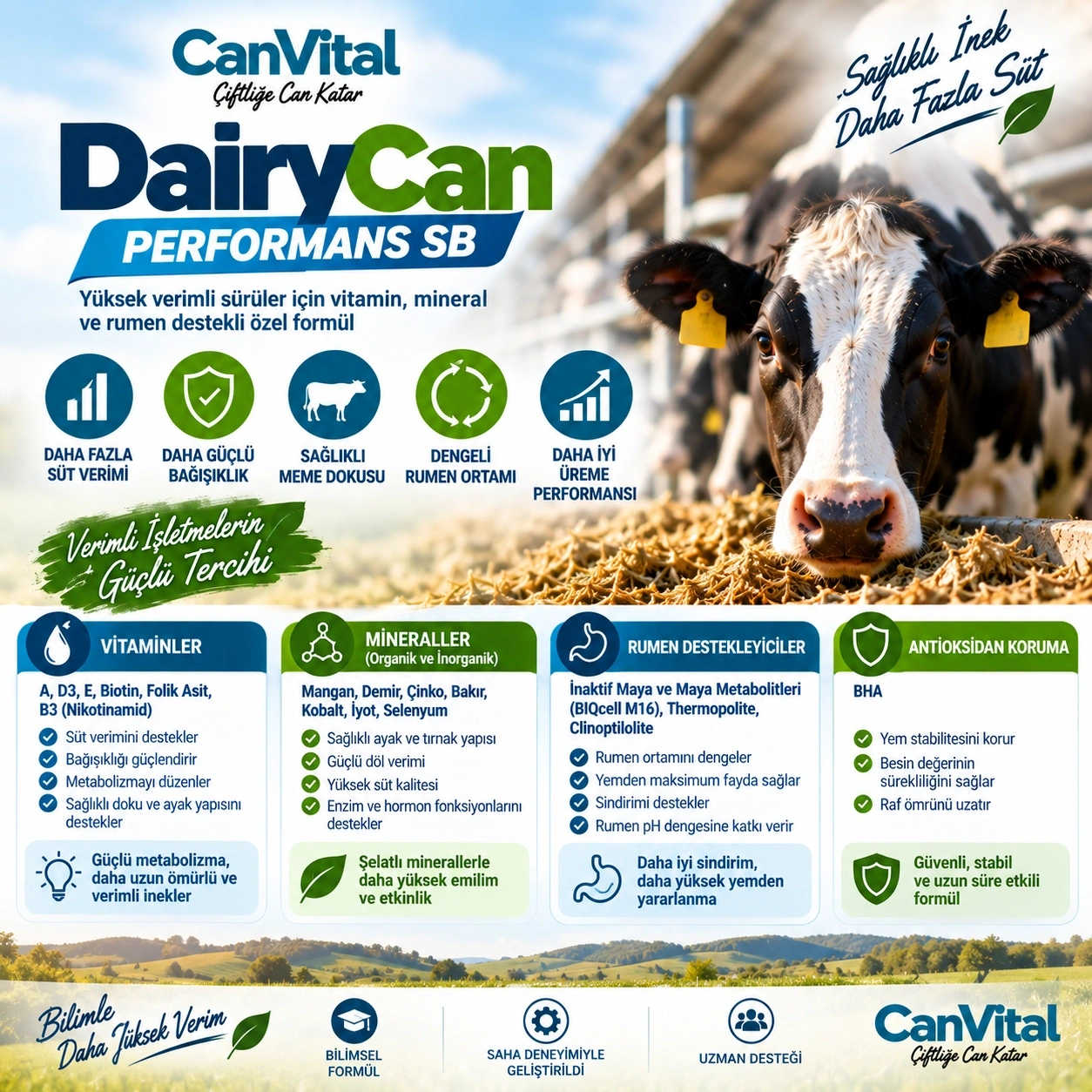 DairyCan Performans SB