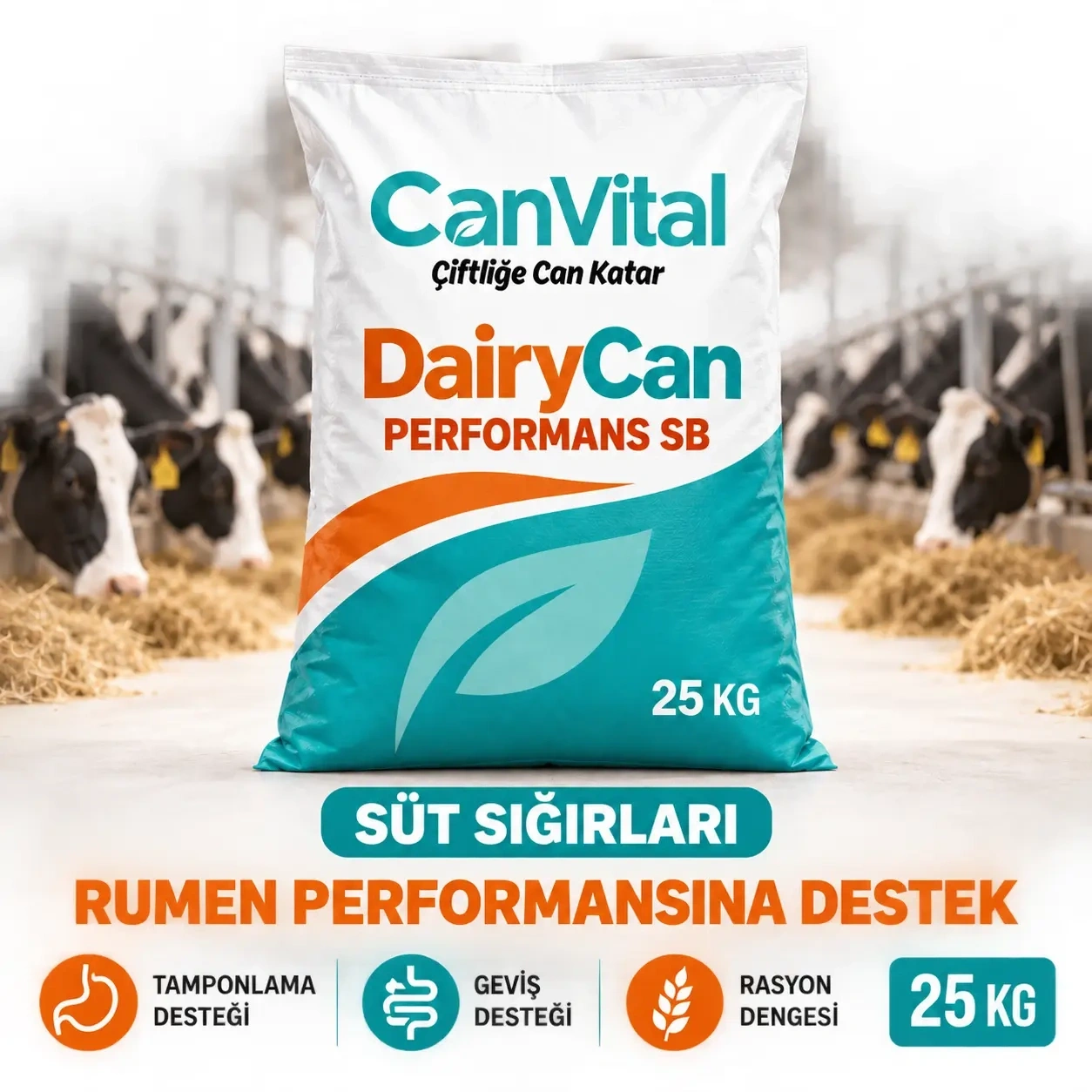 DairyCan Performans SB
