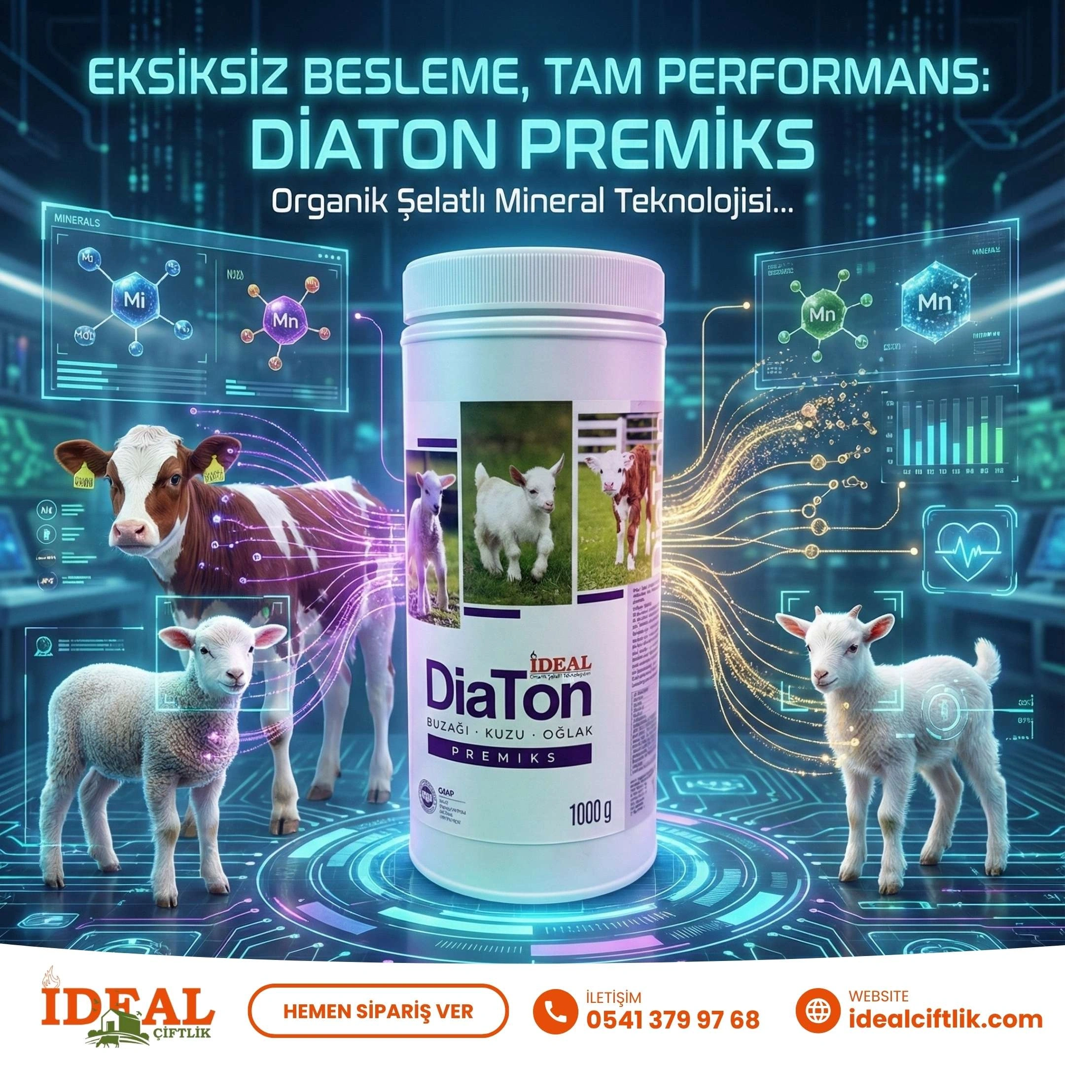 Diaton Vitamin Mineral Premiksi 1 Kg