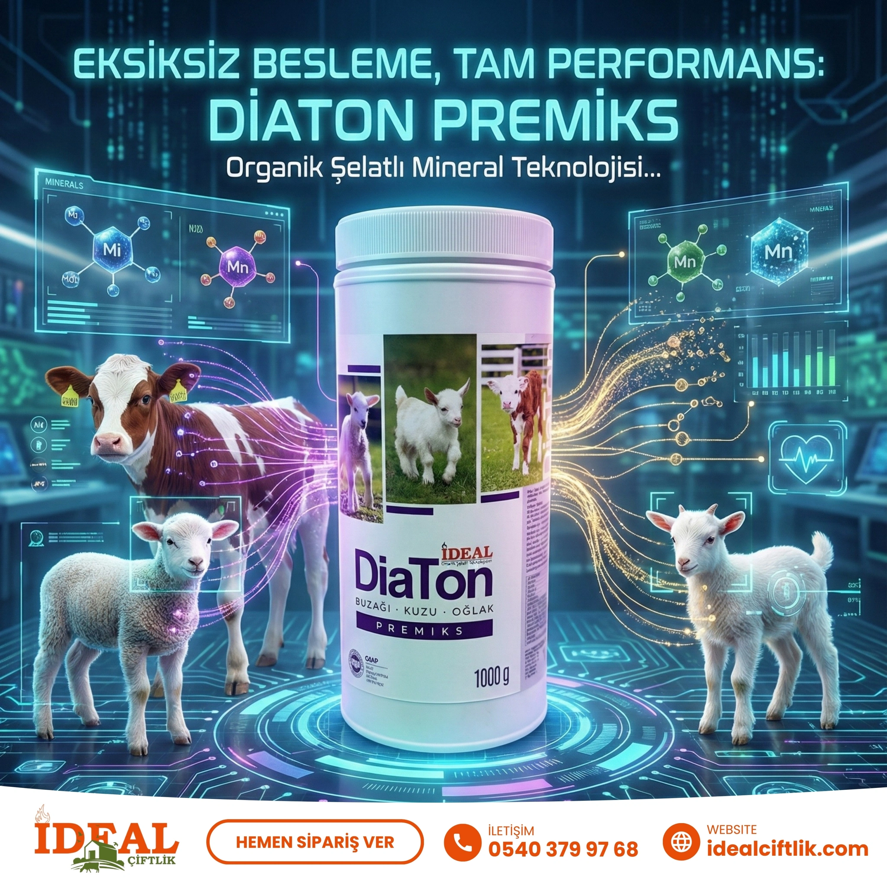 Diaton Vitamin Mineral Premiksi 1 Kg