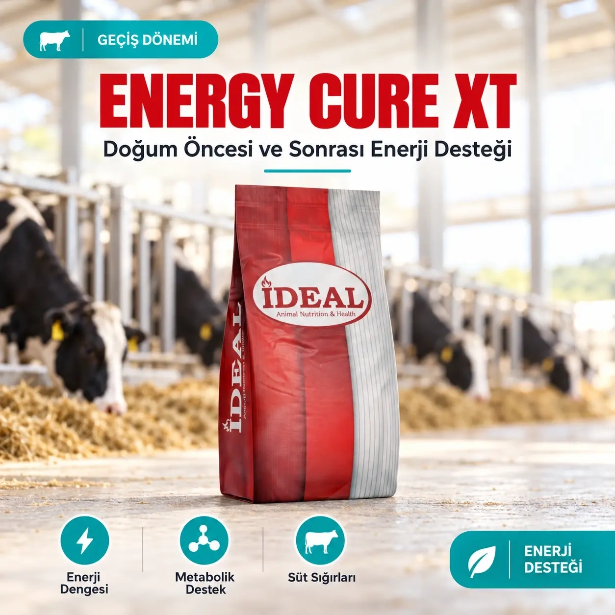 Energy Cure XT Geçiş Periyodunda Olmazsa Olmaz