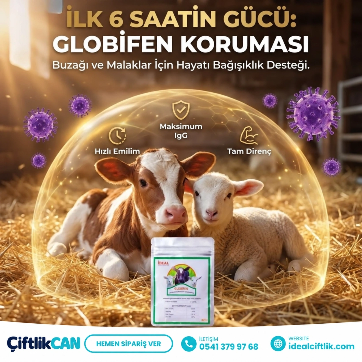 Globifen 40 Gr Kolostrum Tozu
