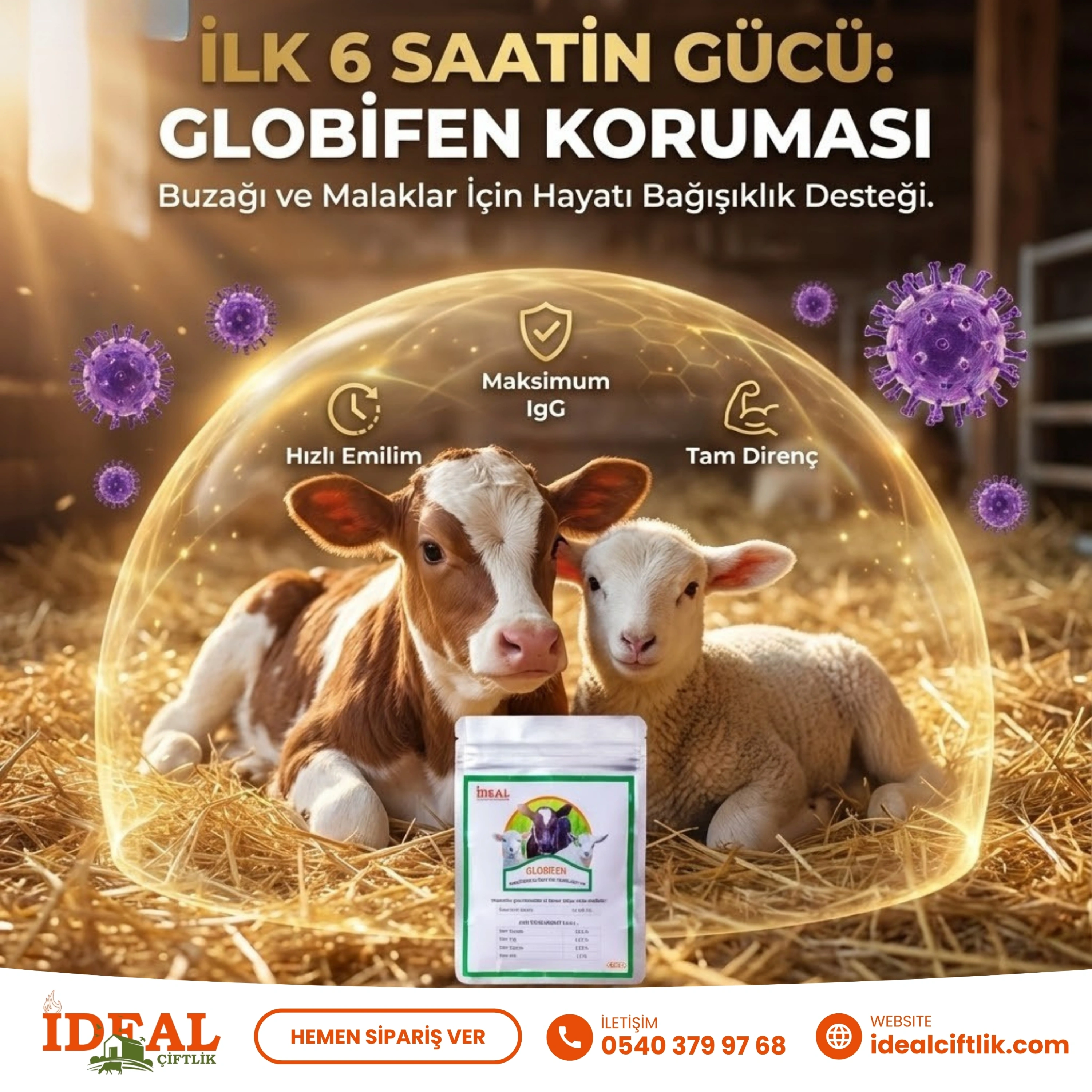 Globifen 40 Gr Kolostrum Tozu