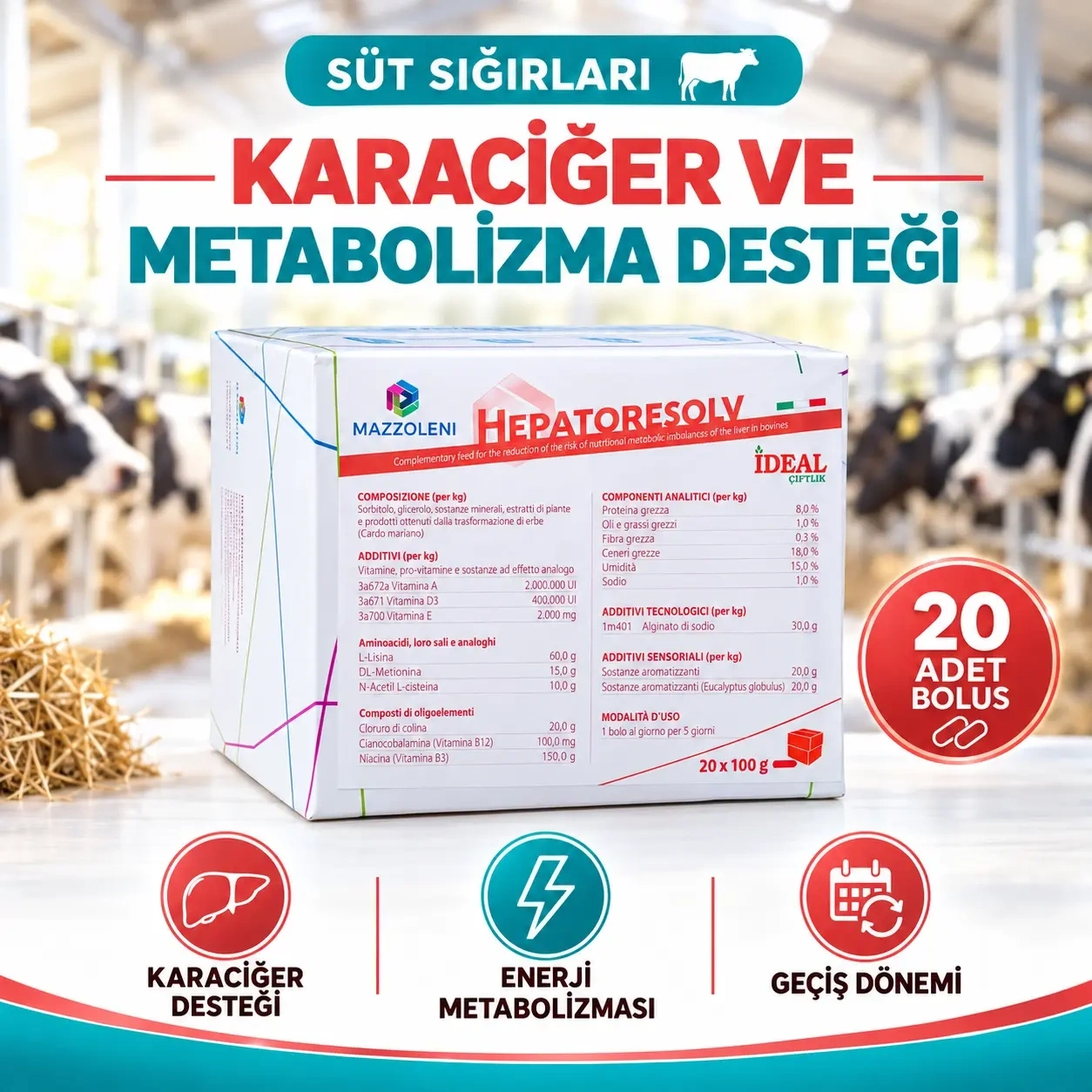 HepatoResolve Karaciğer Bolusu
