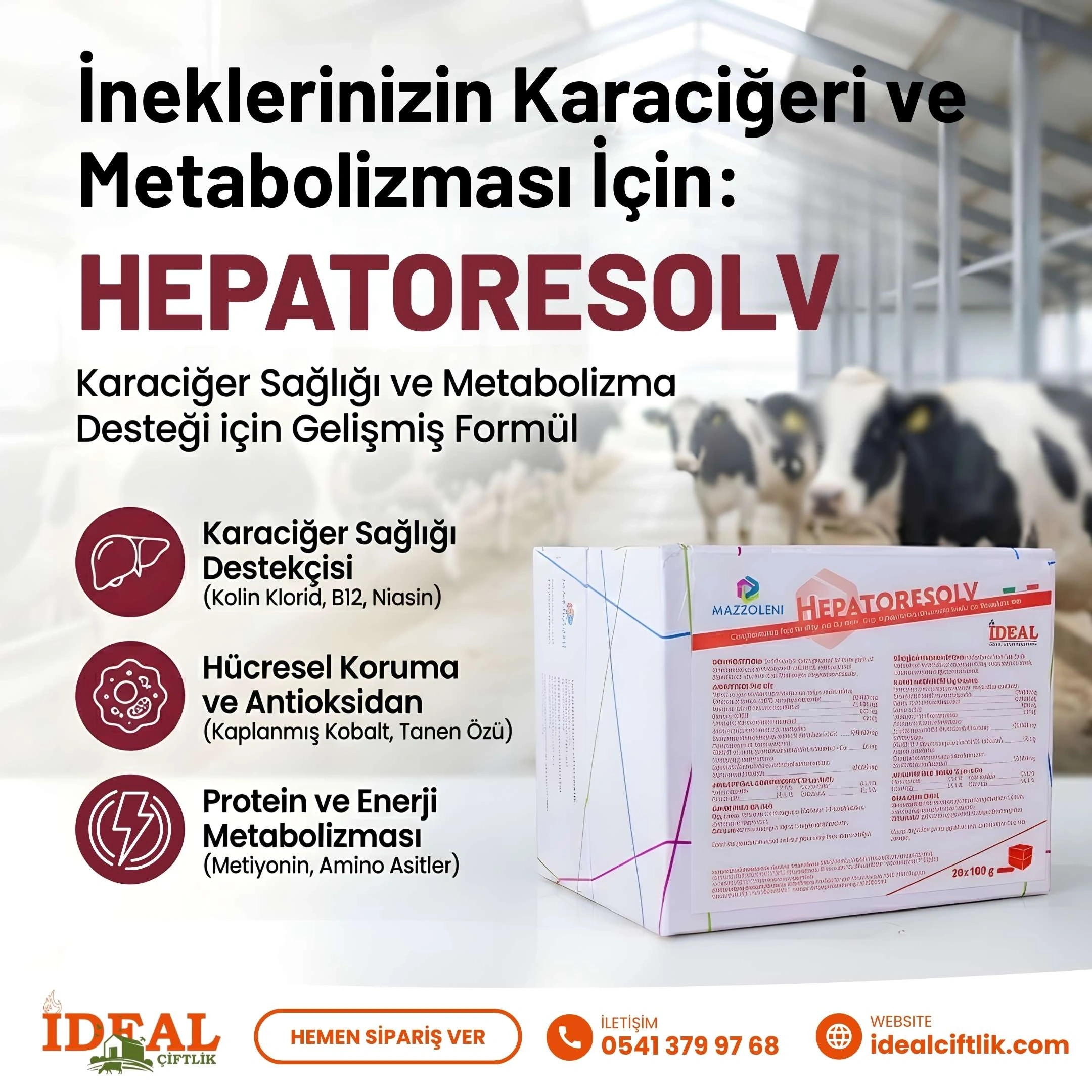 HepatoResolve,