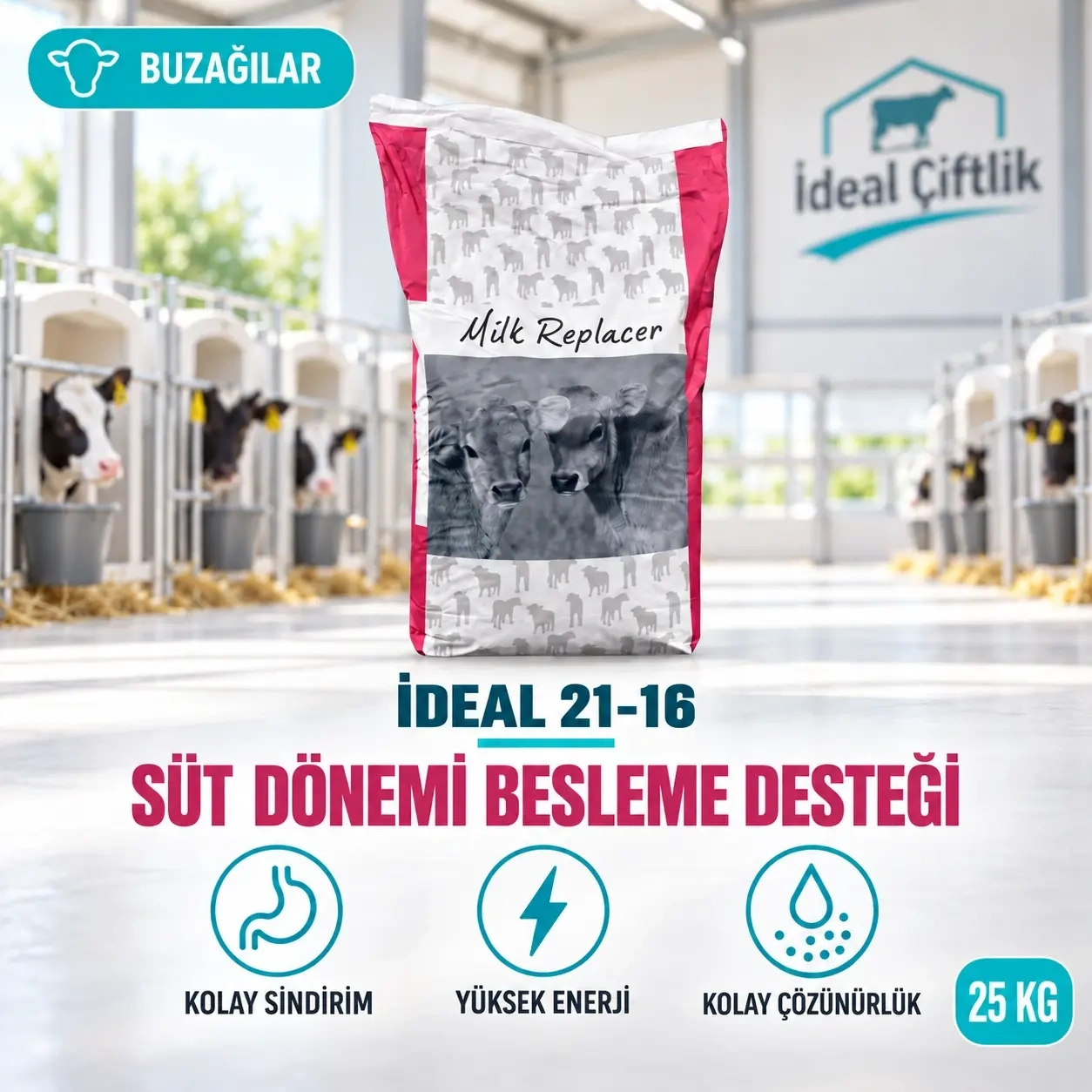 İdeal 21-16 ( Buzağı Maması ) 25 Kg