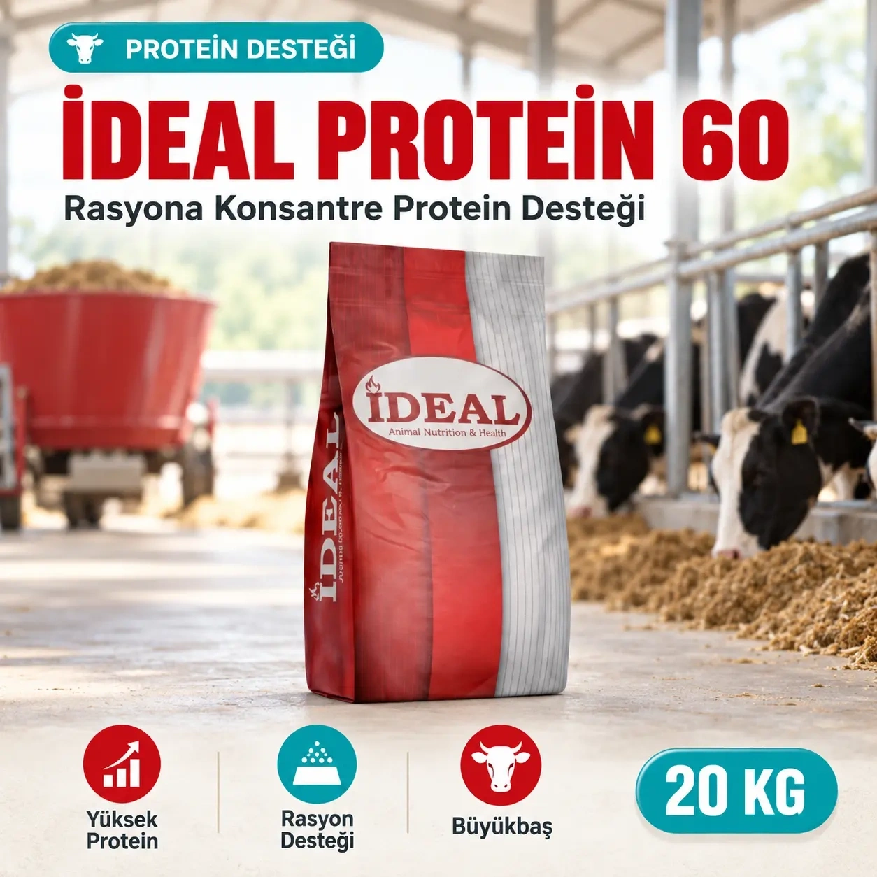İdeal Protein 60 (20 kg)