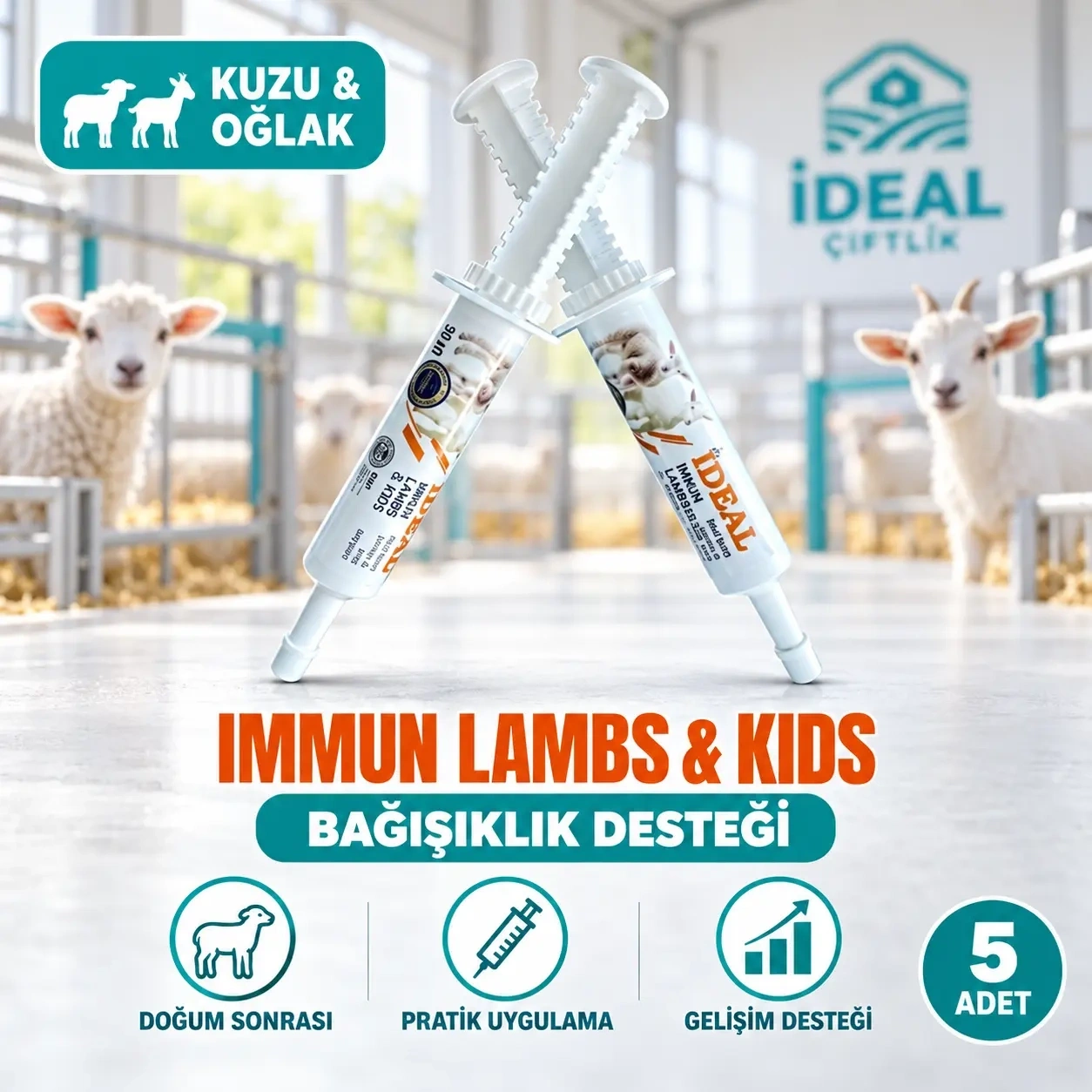 IMMUN LAMBS & KIDS 5 Adet