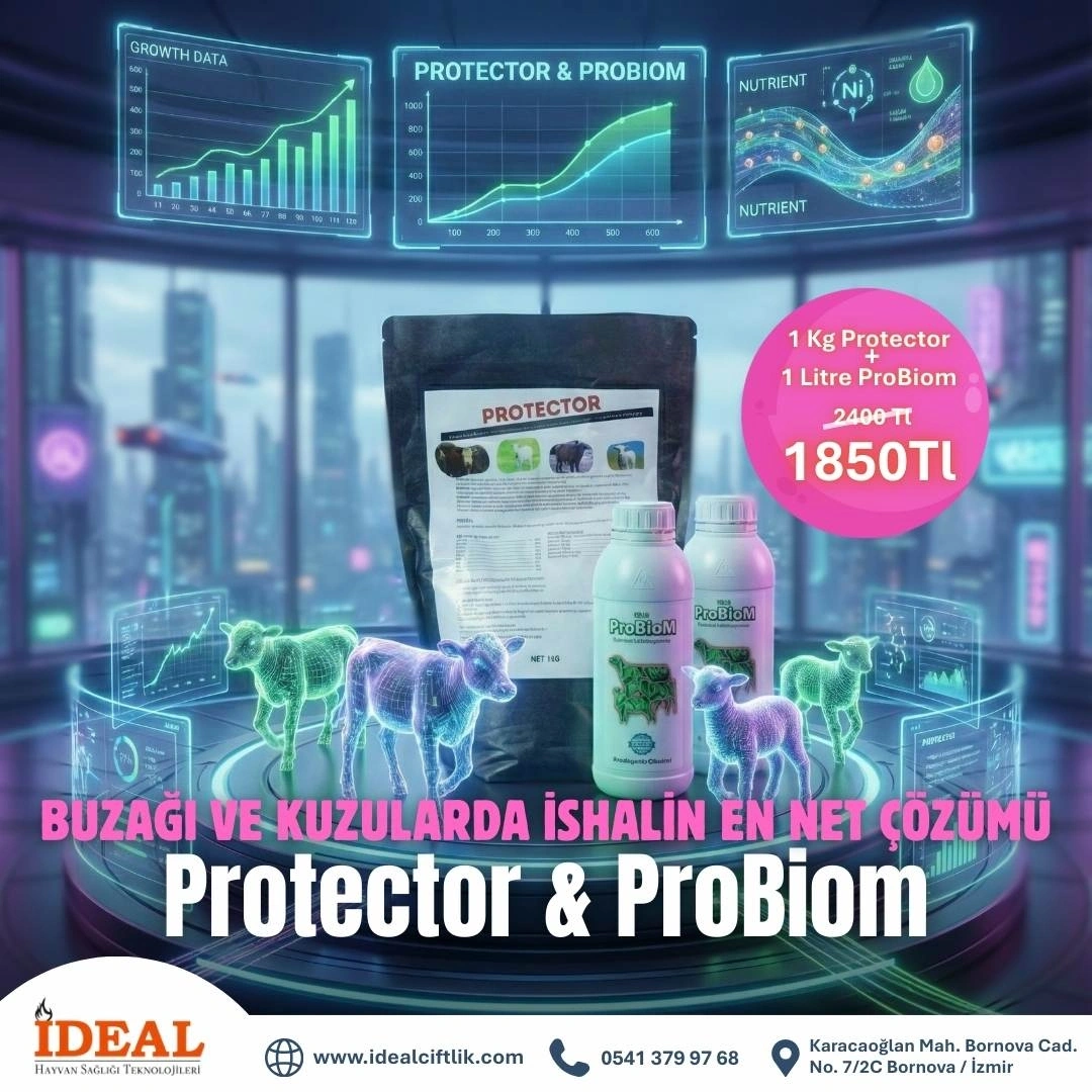 Probiom 1 Litre + Protector İshal Kesici 1 Kg