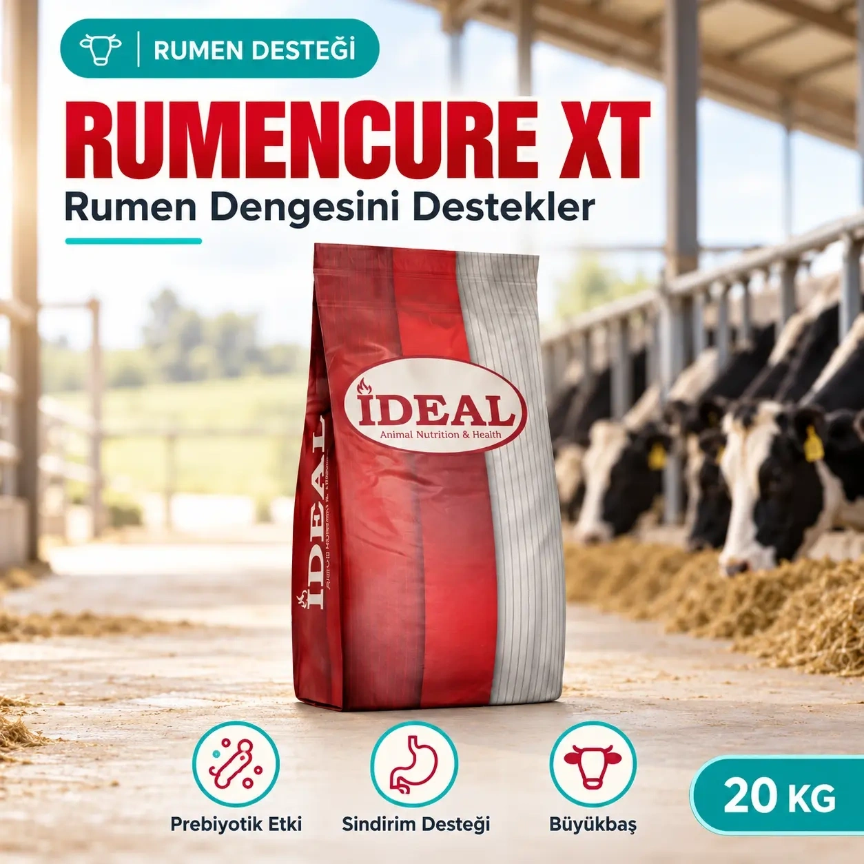 Rumencure XT 20 Kg prebiyotik etki