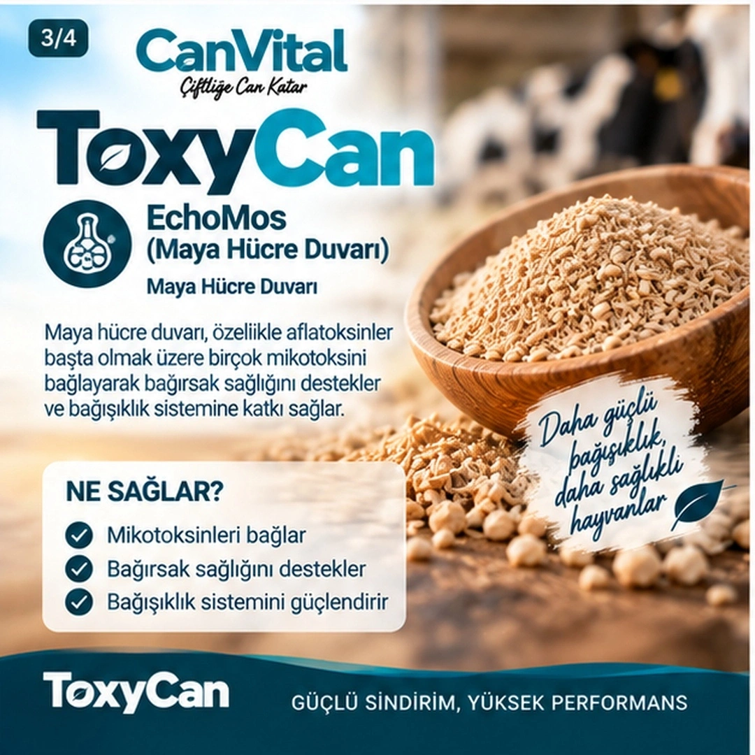ToxyCan