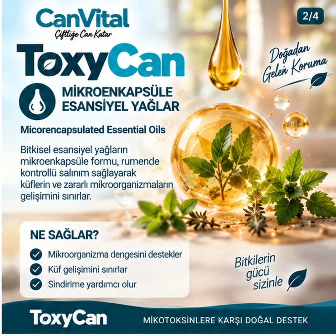 ToxyCan