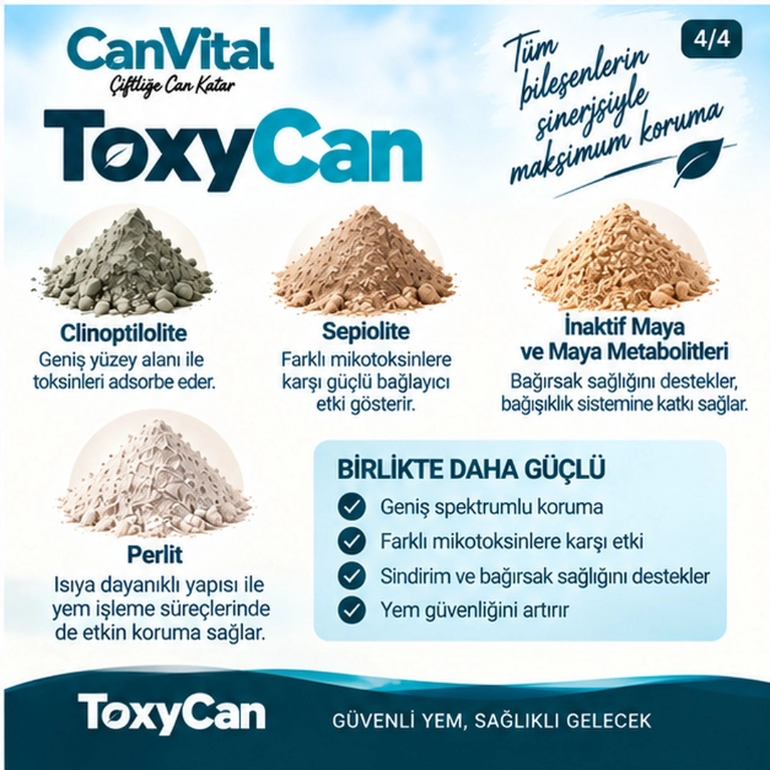 ToxyCan