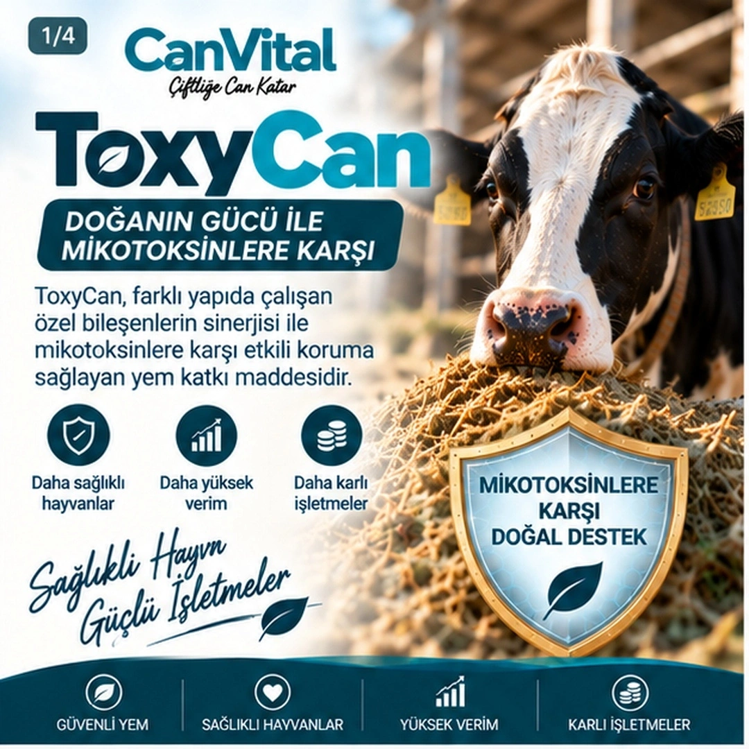 ToxyCan
