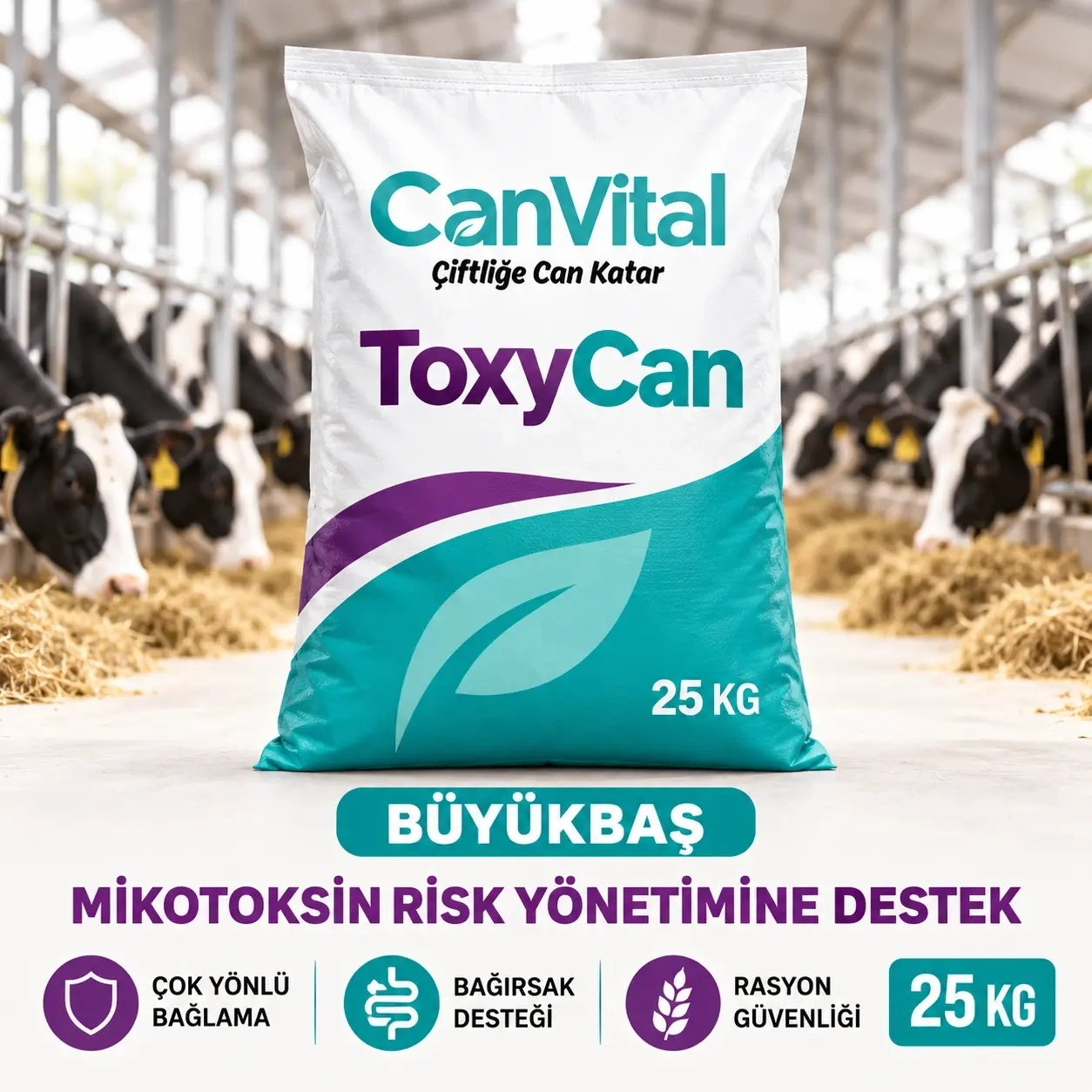 ToxyCan