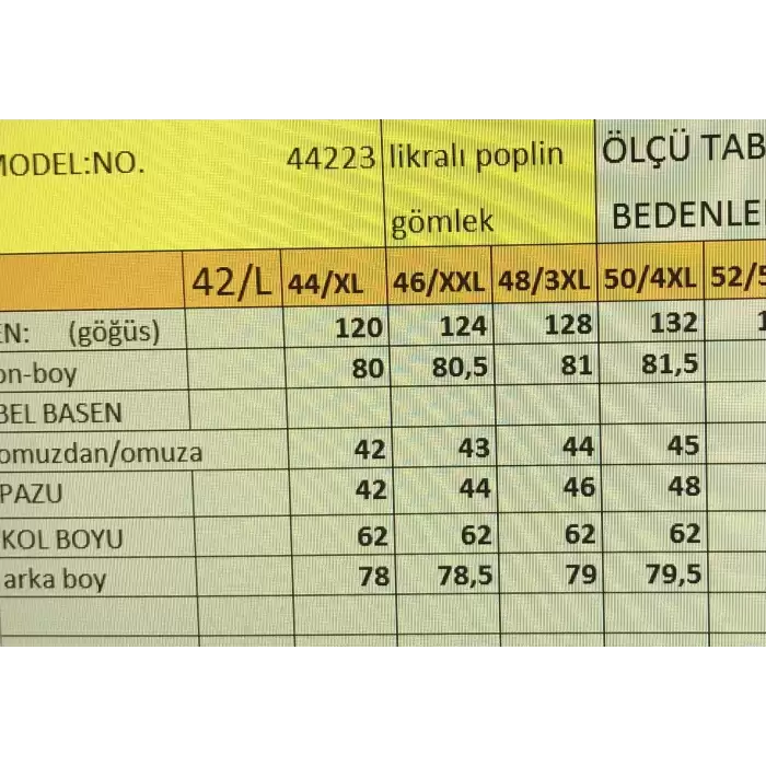 BÜYÜK BEDEN KADIN GÖMLEK