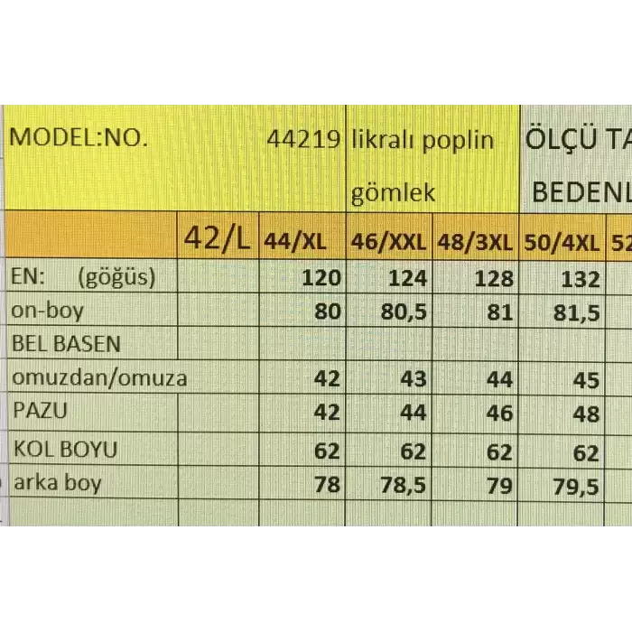 BÜYÜK BEDEN KADIN GÖMLEK