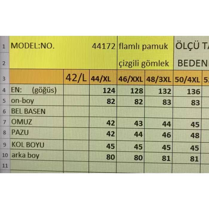 BÜYÜK BEDEN ÇİZGİLİ KADIN GÖMLEK