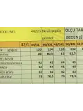 BÜYÜK BEDEN KADIN GÖMLEK