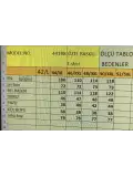 BÜYÜK BEDEN KADIN T-SHİRT