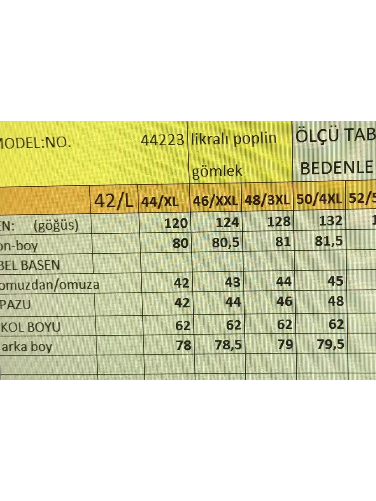 BÜYÜK BEDEN KADIN GÖMLEK