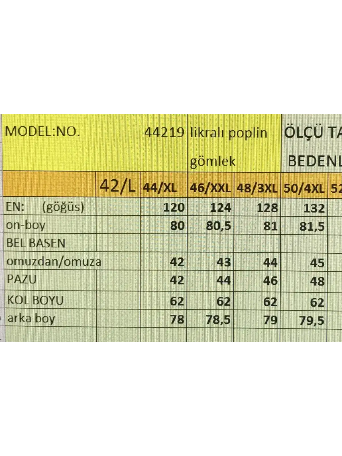 BÜYÜK BEDEN KADIN GÖMLEK